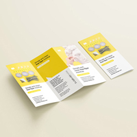 Brochure and Flyer Design 03